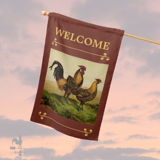 Golden Penciled Hamburg Roosters Hens on Farm Red