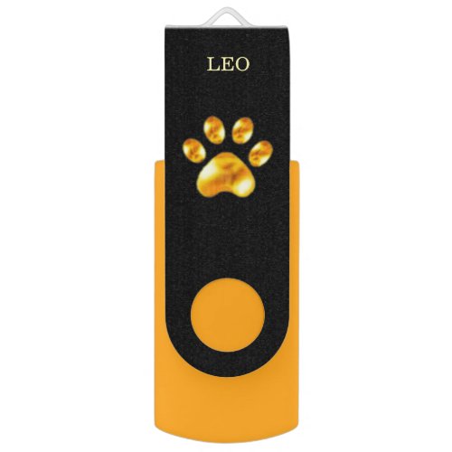 Golden pet paw on black flash drive