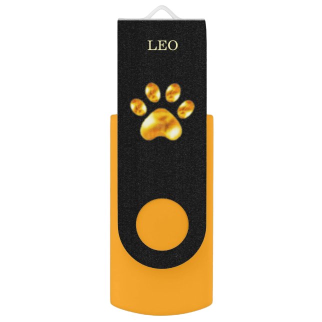 Golden pet paw on black flash drive (Front Vertical)