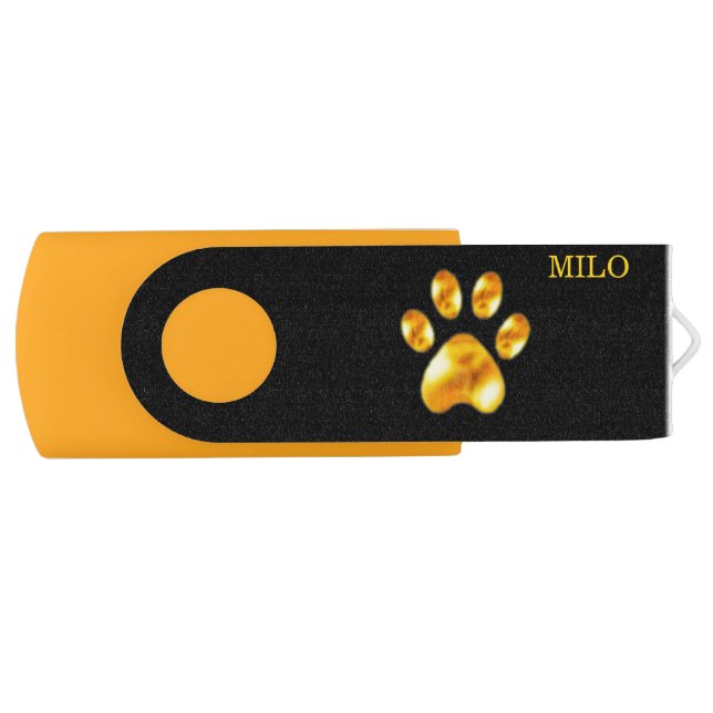 Golden pet paw on black flash drive (Front)