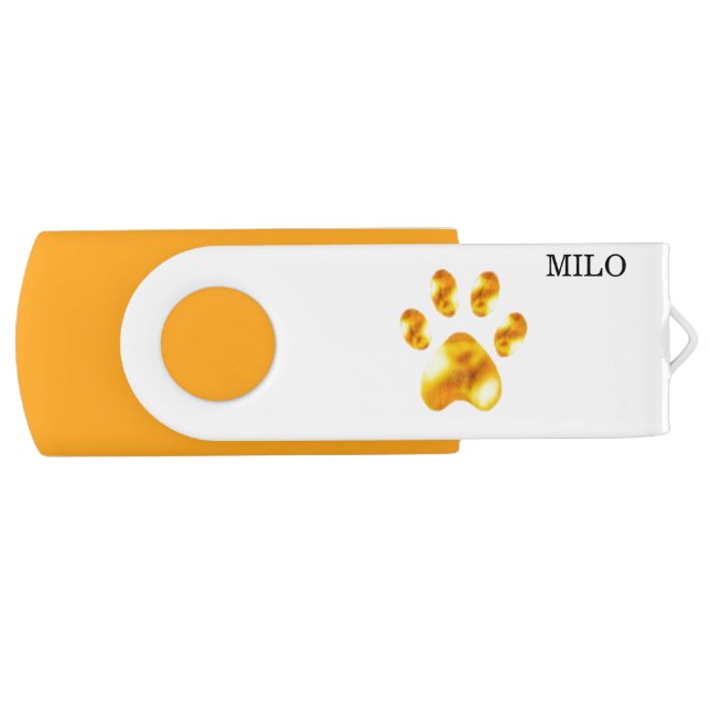 Golden pet paw on white flash drive (Front)