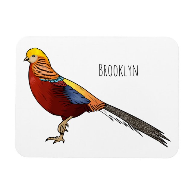 Golden pheasant bird cartoon illustration  magnet (Horizontal)
