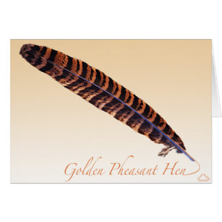 Golden Pheasant Hen Tail Cards