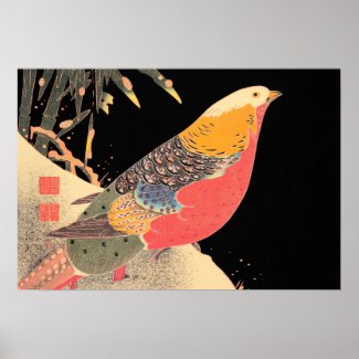 Golden Pheasant in the Snow Itô Jakuchû bird art Poster