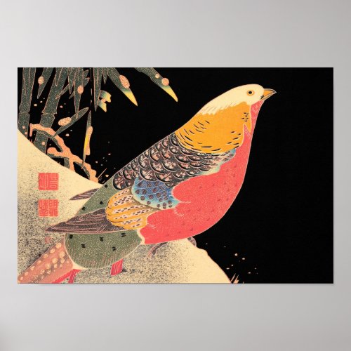 Golden Pheasant in the Snow It Jakuch bird art Poster