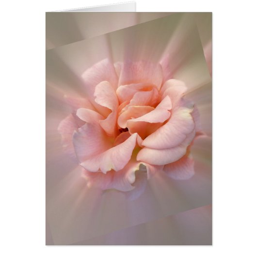 Golden pink cards (Front)