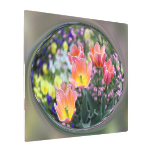 Golden pink tulips metal print