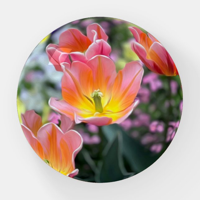 Golden pink tulips paperweight (Front)