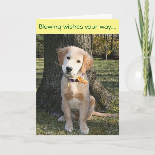 Golden Pinwheel Birthday Card