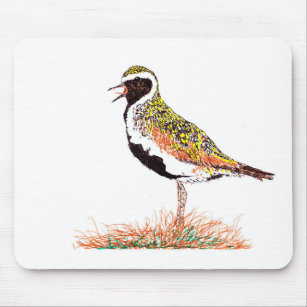 Golden Plover Mouse Pad