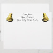 Golden Poison Frog (Front/Back)