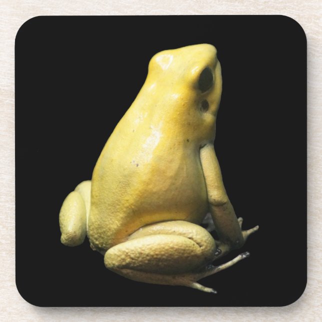Golden Poison Frog Beverage Coaster (Front)