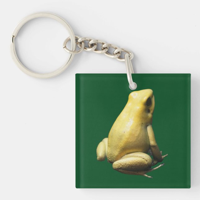 Golden Poison Frog Keychain (Front)