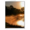Golden Pond