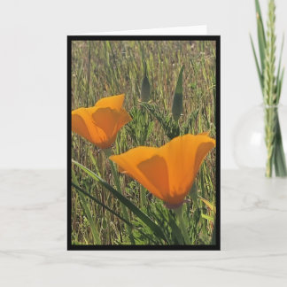 Golden Poppies - 1 Card