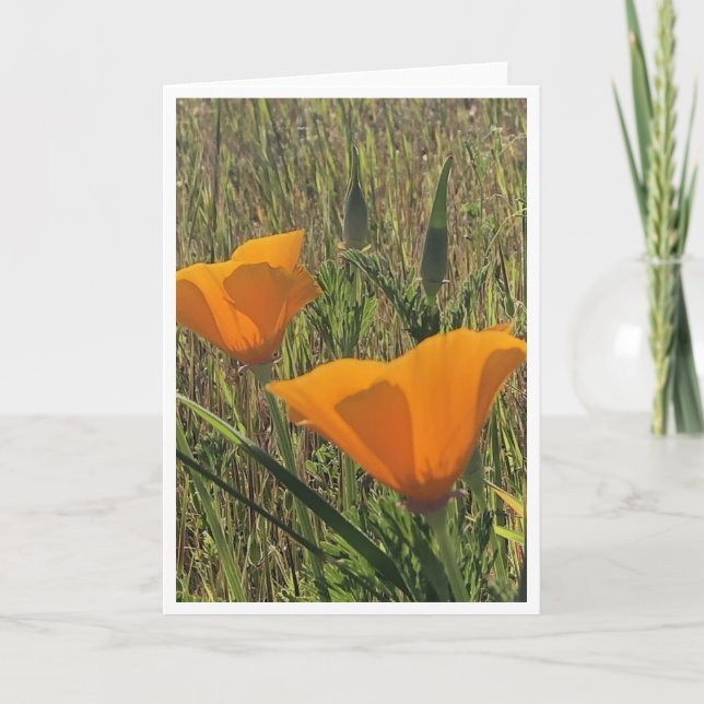 Golden Poppies - 2 Card (Front)
