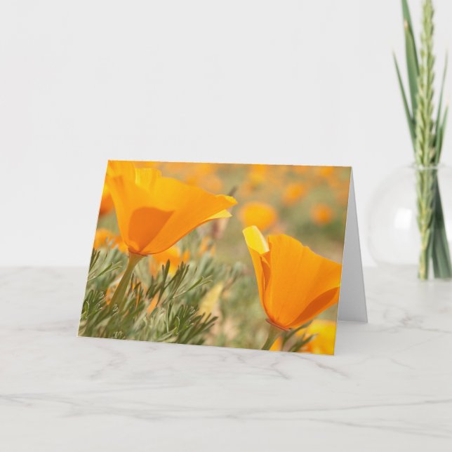 Golden Poppies Card (Front)