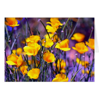 Golden Poppy Cards