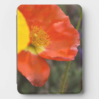 Golden Poppy Glow — Vibrant Botanical Kindle Cover