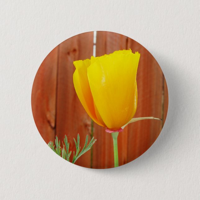 Golden Poppy Pinback Button (Front)
