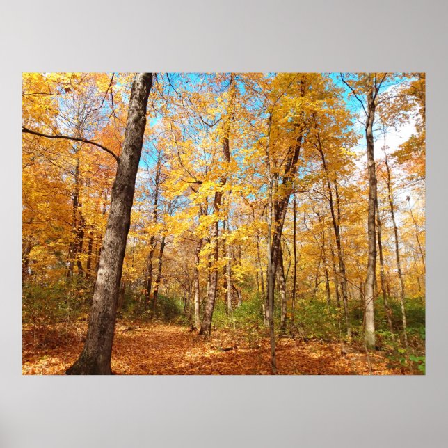 Golden Poster (Front)