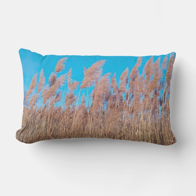 Golden Prairie Grasses Nature Photo Lumbar Pillow (Front)