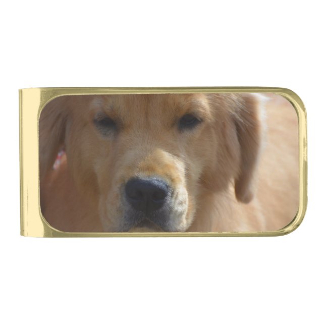 Golden Pup Gold Finish Money Clip (Front)