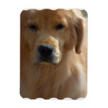 Golden Pup Magnet