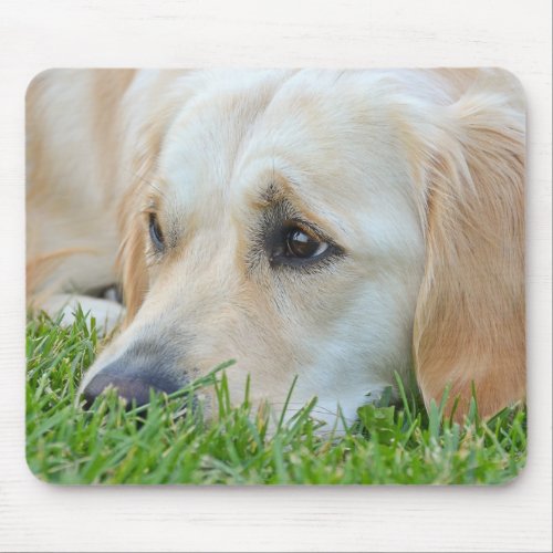 Golden Pup Mouse Pad