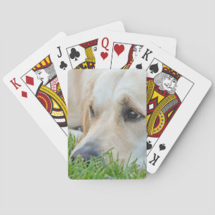 Golden Pup Poker Cards