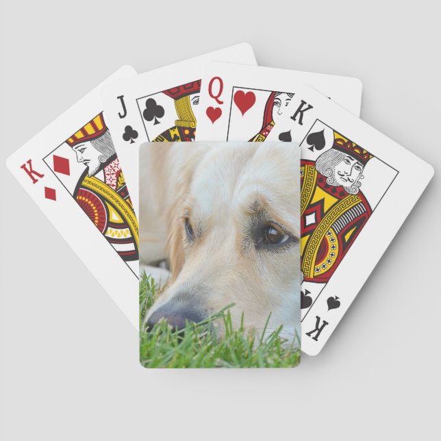 Golden Pup Poker Cards (Back)