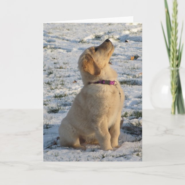 Golden Pup Snow Card (Front)