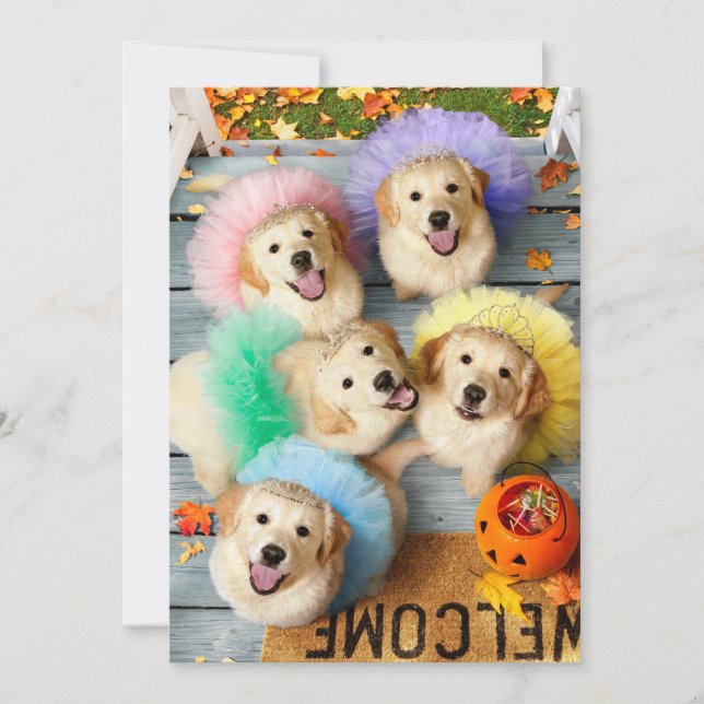 Golden Puppies Trick or Treating Invitation (Front)