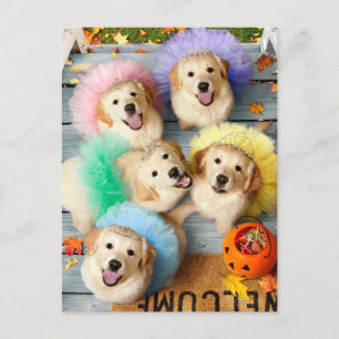Golden Puppies Trick or Treating Invitation Postcard