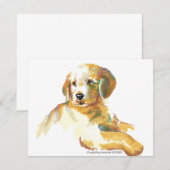 Golden Puppy - Darling (Front/Back)