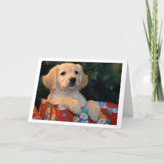 Golden Puppy Gift Christmas Card
