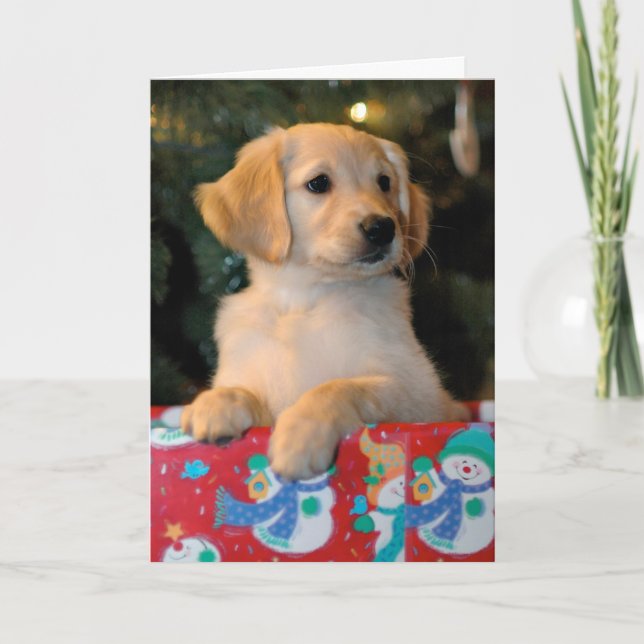Golden Puppy Present Christmas Card (Front)