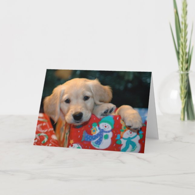 Golden Puppy Present Christmas Card (Front)