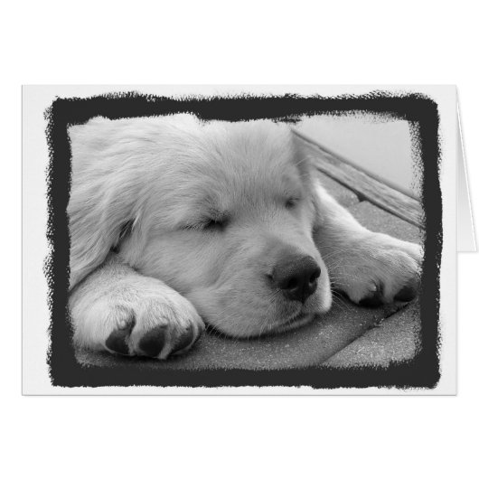 Golden Puppy Sleeping Cards (Front Horizontal)