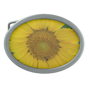 Golden Radiance Sunflower Field Belt Buckle