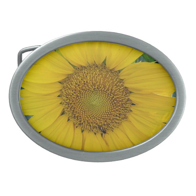 Golden Radiance Sunflower Field Belt Buckle (Front)
