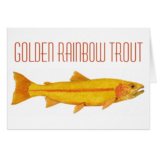 Golden Rainbow Trout. Cards (Front Horizontal)