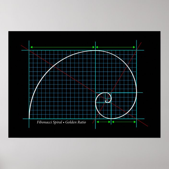 Golden Ratio Fibonacci Spiral Color Drawing Poster Zazzle Com