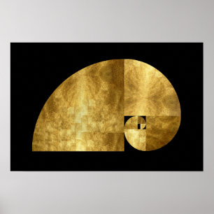 Golden Ratio, Fibonacci Spiral Poster