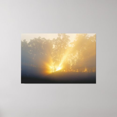 Golden Rays at Morning Dawn Canvas Art Print