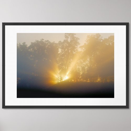 Golden Rays at Morning Dawn Fine Art Print