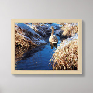 Golden Reeds & Swan – Peaceful Winter Stream Framed Art