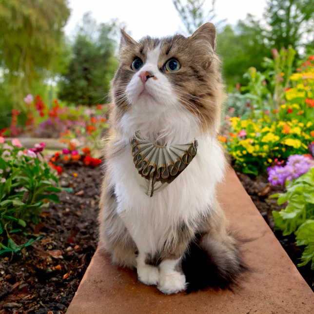 Golden Regal Pet Ruff For Cute Cats And Dogs Bandana Collar