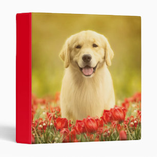 Golden Retirever in Red Flowers 3 Ring Binder