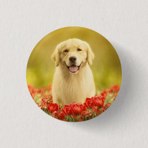 Golden Retirever in Red Flowers Button
